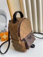 Louis Vuitton Backpack Backpack Khaki