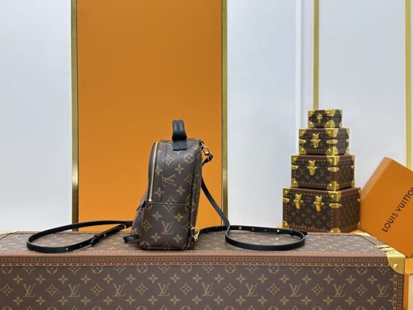 Louis Vuitton Backpack Backpack Brown