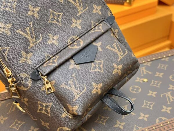 Louis Vuitton Backpack Backpack Brown