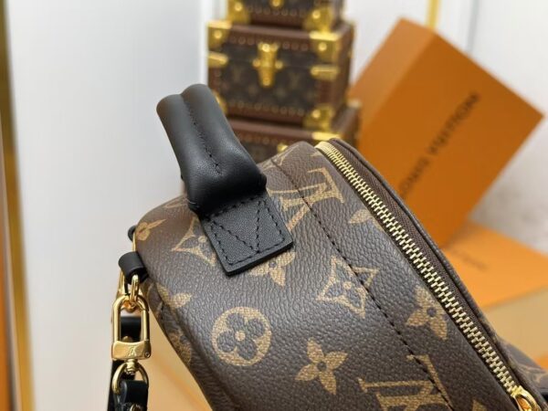 Louis Vuitton Backpack Backpack Brown