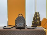Louis Vuitton Backpack Backpack Brown