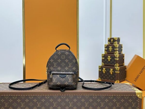 Louis Vuitton Backpack Backpack Brown