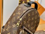 Louis Vuitton Backpack Backpack Brown