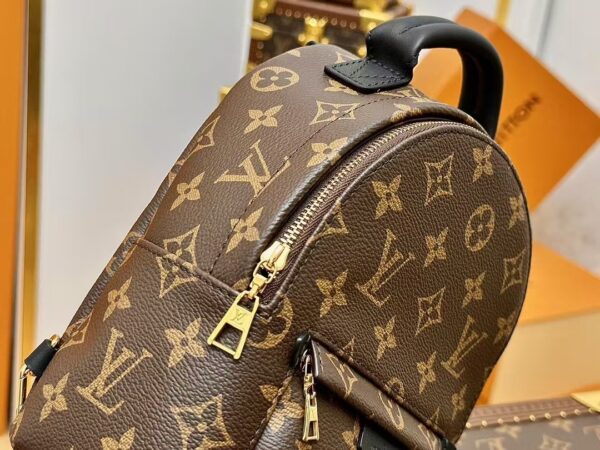 Louis Vuitton Backpack Backpack Brown