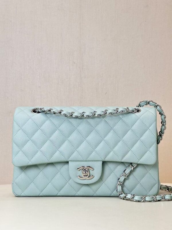 Chanel CF Bag Light Green