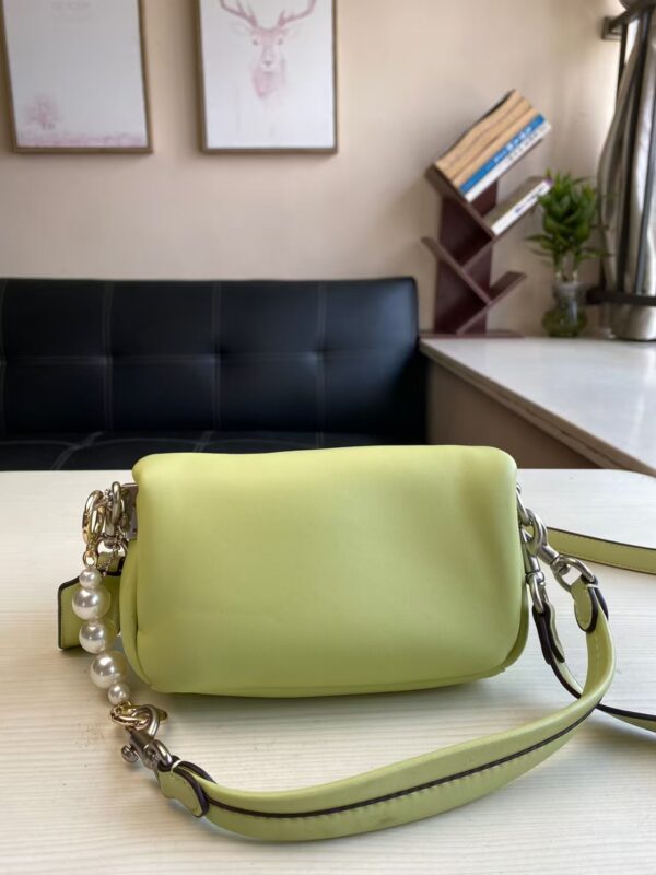Coach Shoulder Bag Small Light Green