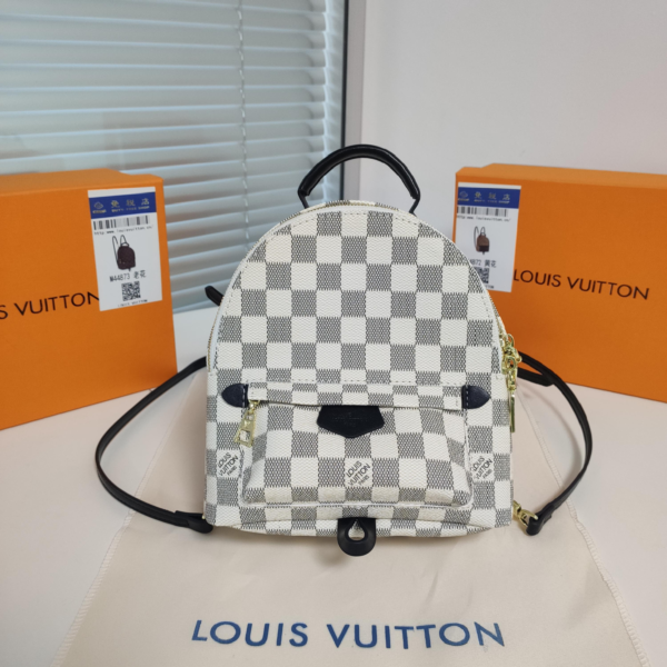 Louis Vuitton Backpack Backpack White Check
