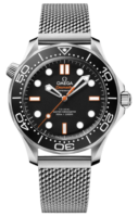 Omega Seamaster 210.30.42.20.01.018