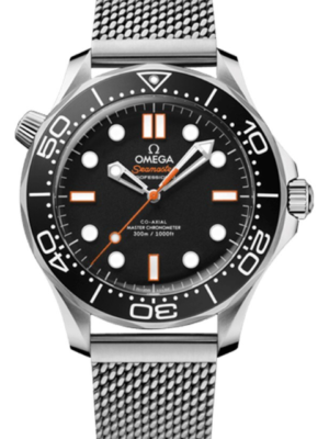 Omega Seamaster 210.30.42.20.01.018