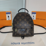 Louis Vuitton Backpack Backpack Brown