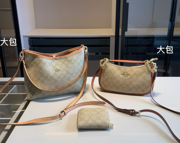 Coach Bag Set