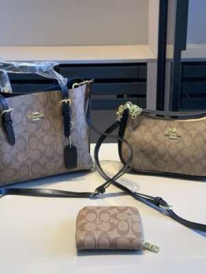 Coach Bag Set